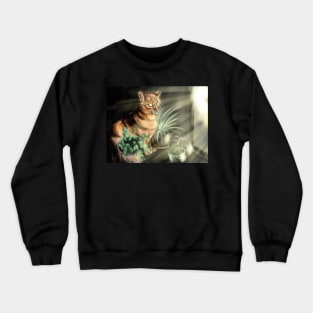 kitty cat Crewneck Sweatshirt